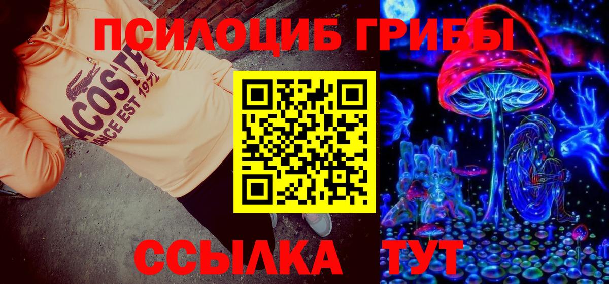 Джанкой  Галлюциногенные грибы Cubensis  Вход с VPN 