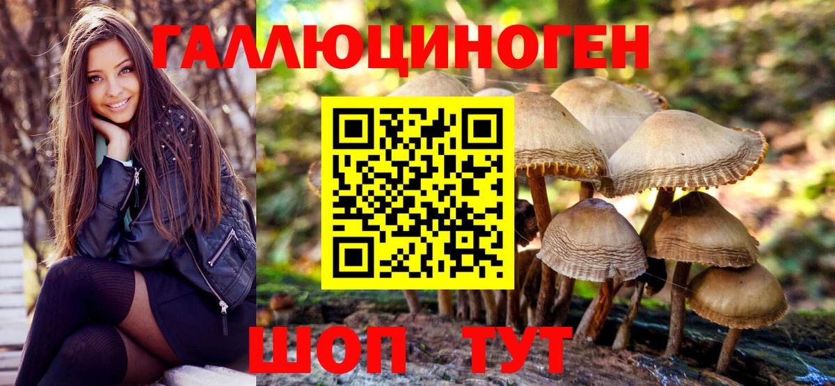 Галлюциногенные грибы Cubensis Джанкой